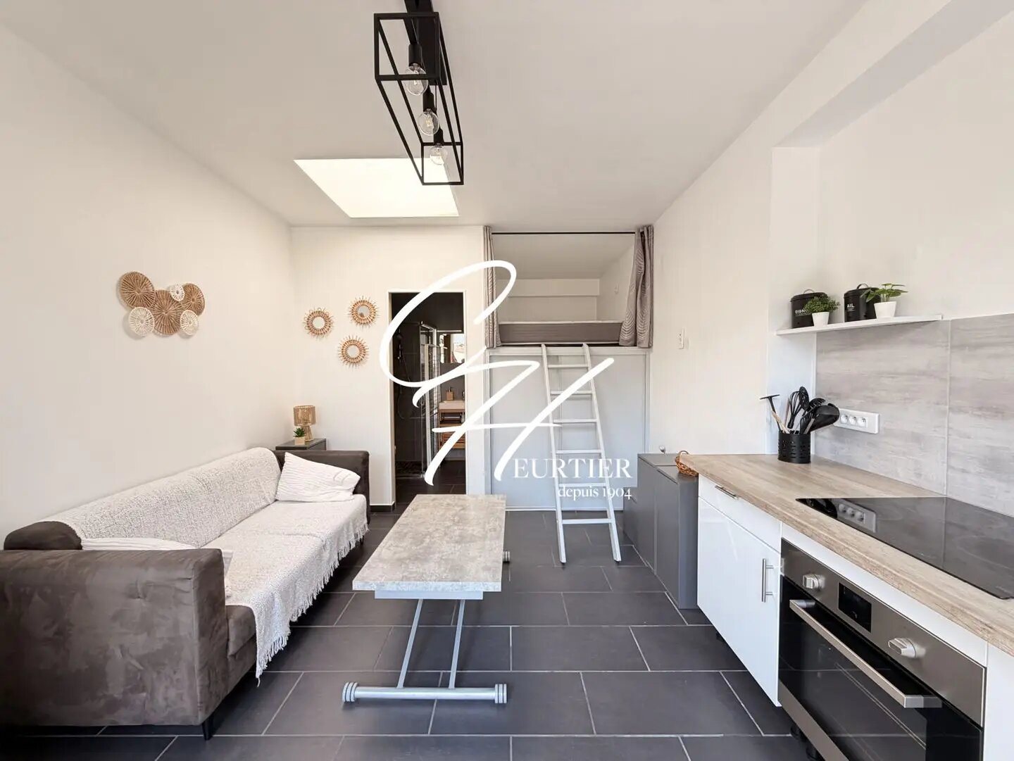 Appartement à louer, 19m², Seyssinet-Pariset