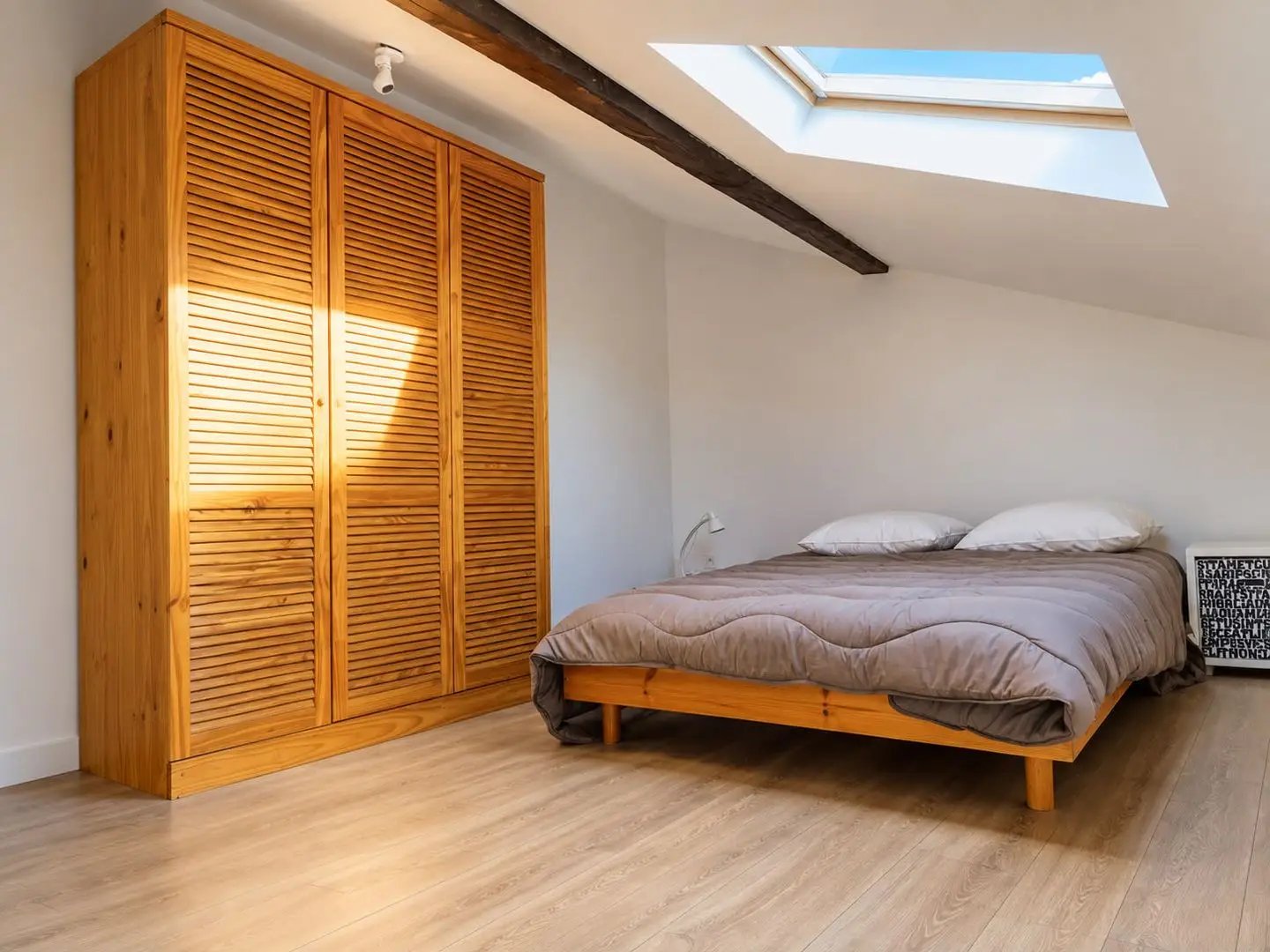 Appartement à louer, 35m², Villeurbanne
