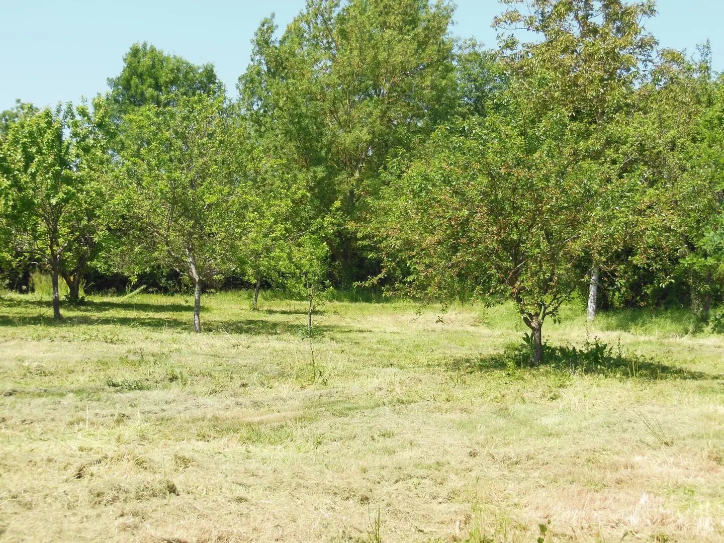 Maison à vendre, 185m², Gennes