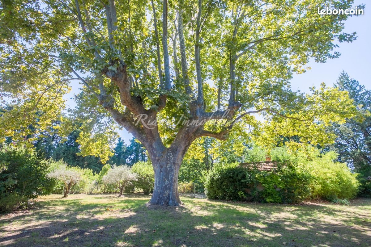 Maison à vendre, 192m², L'Isle-sur-la-Sorgue