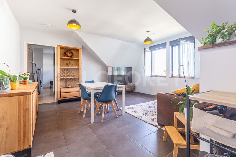 Appartement à louer, 49m², Groisy