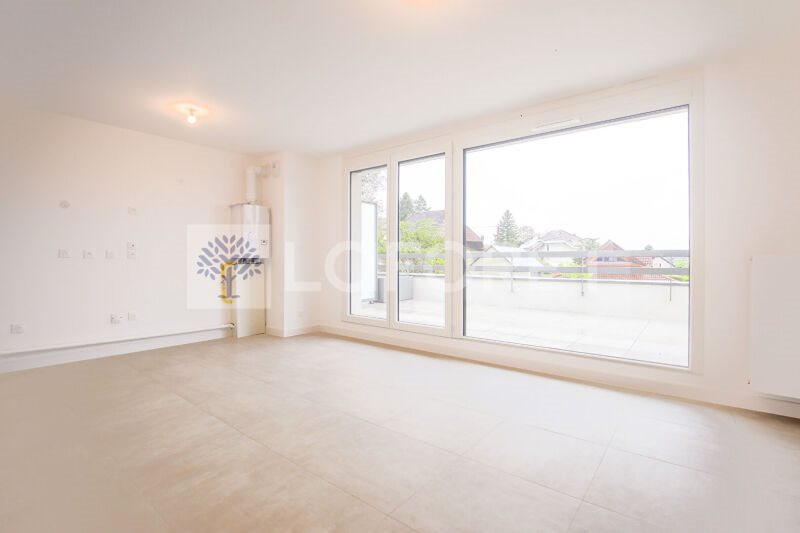 Appartement à louer, 48m², Viuz-la-Chiésaz