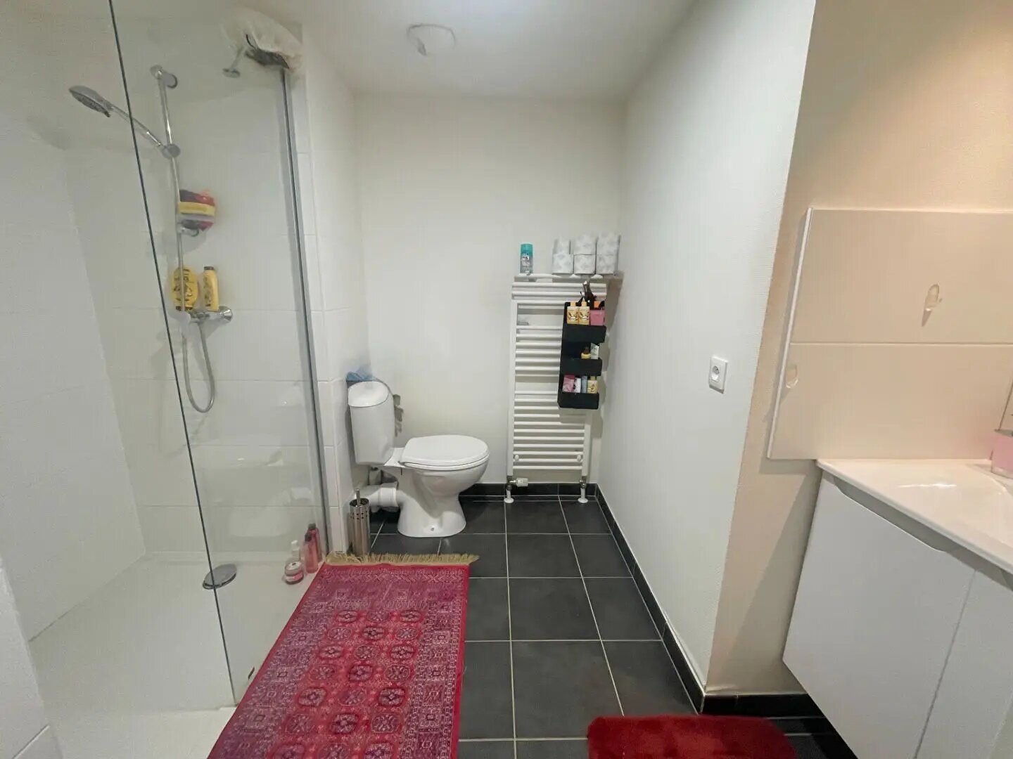 Appartement à vendre, 24m², Strasbourg