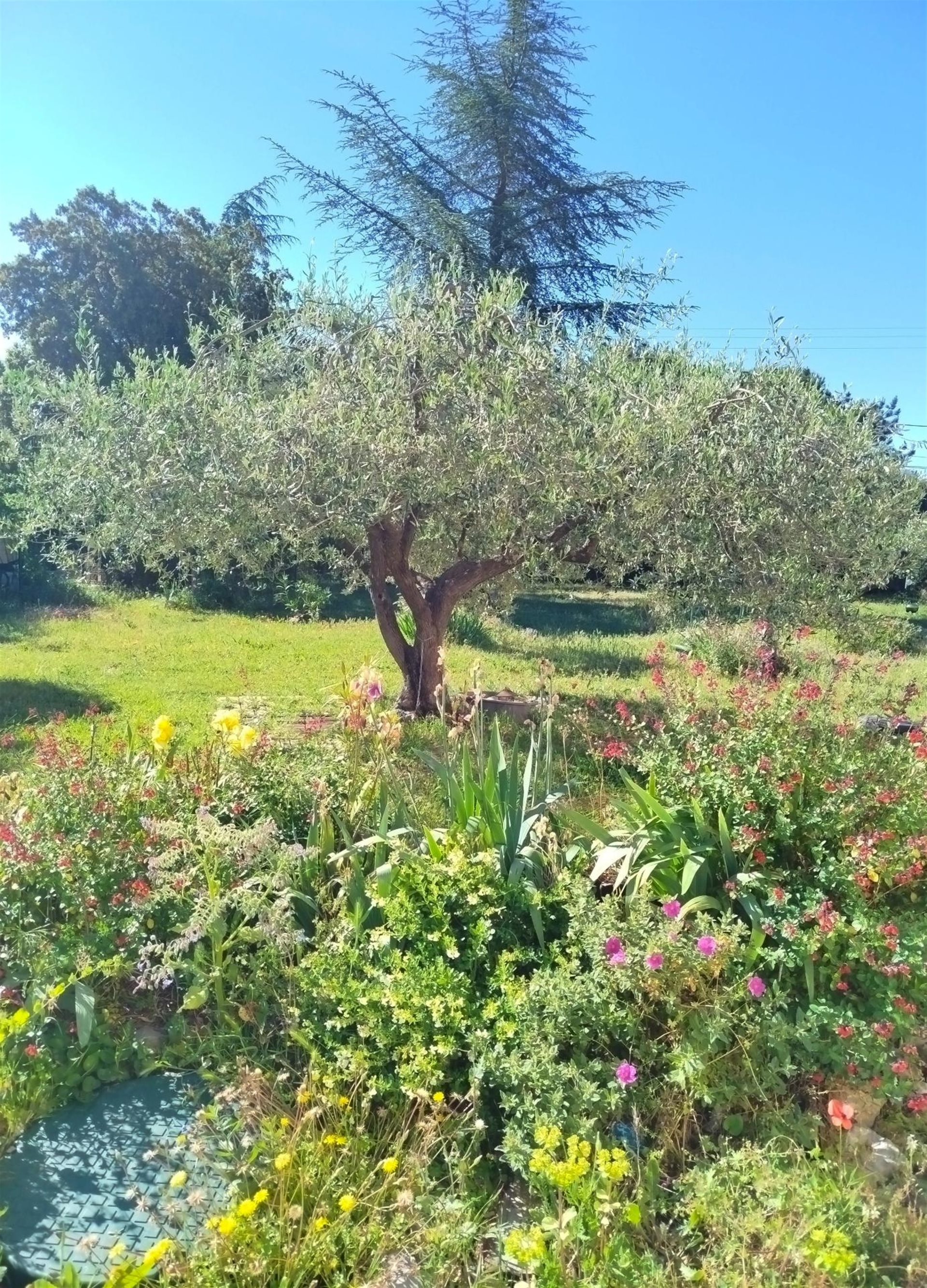 Maison à vendre, 150m², Saint-Cézaire-sur-Siagne