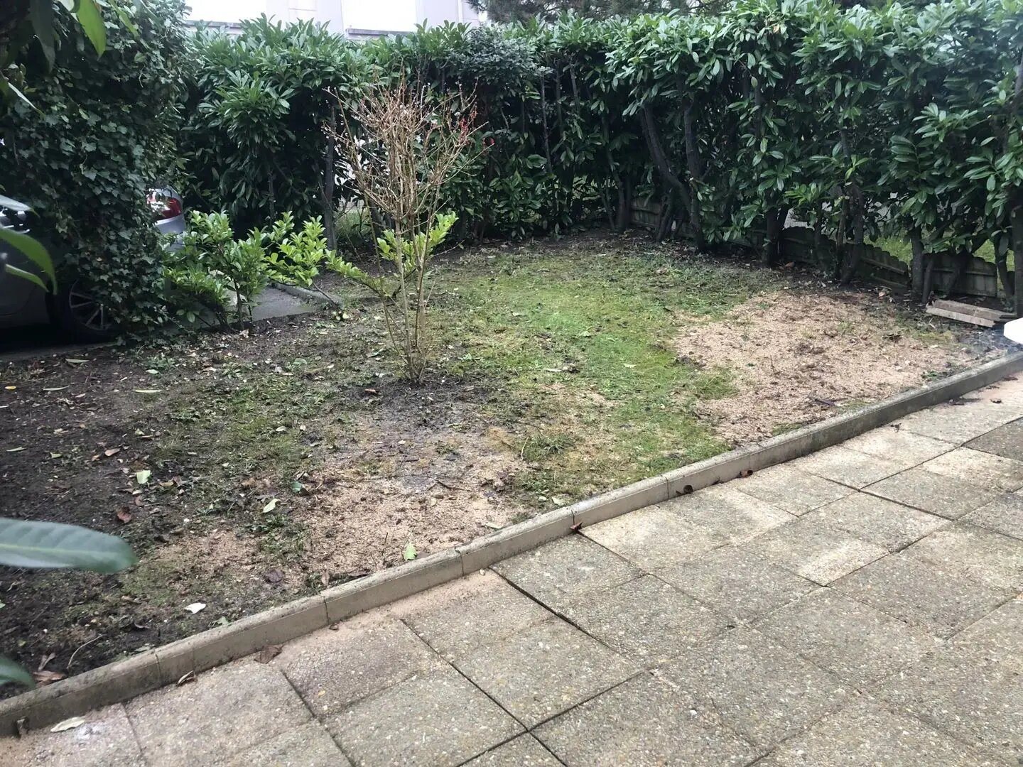 Appartement à louer, 32m², Chatou