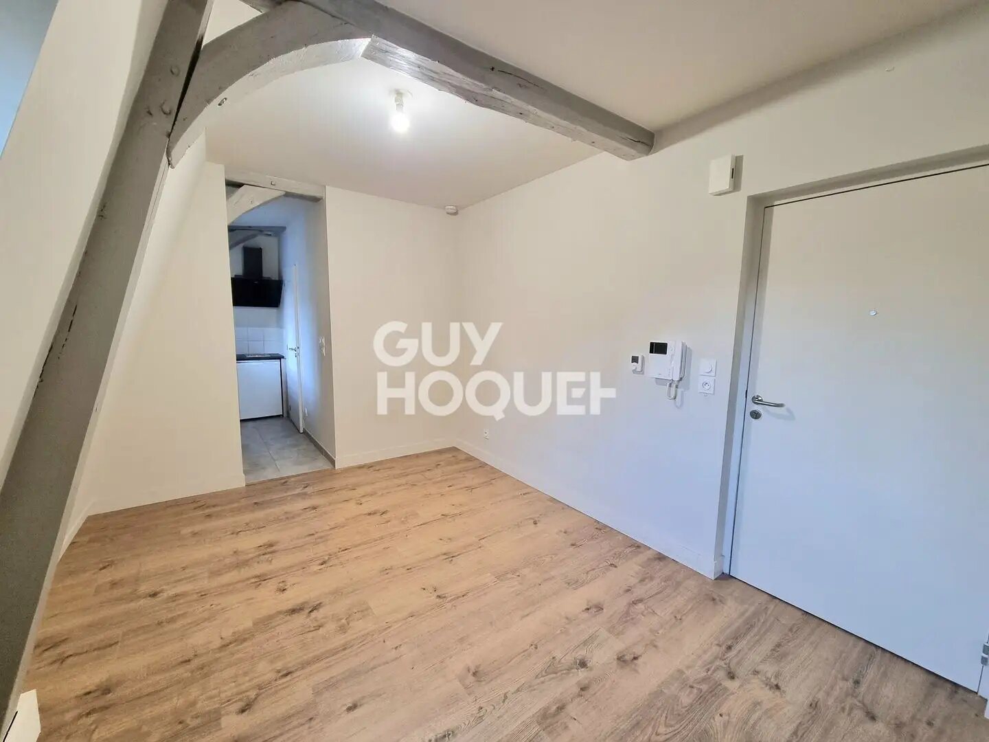 Appartement à louer, 19m², Abondant