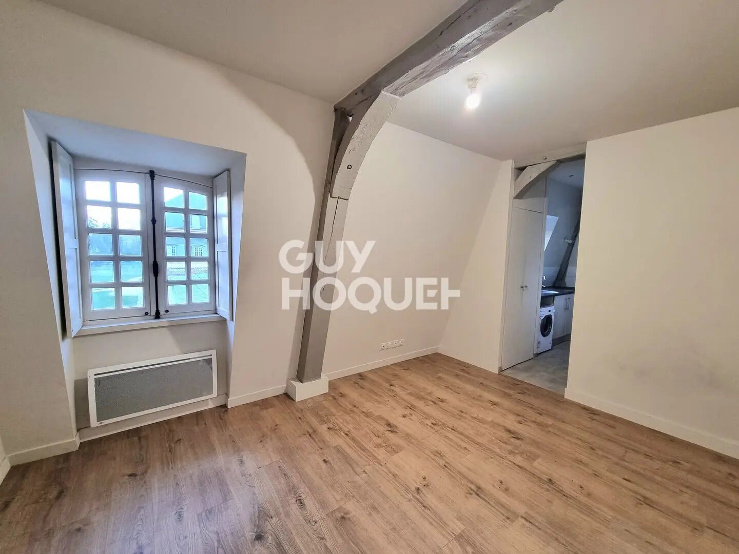 Appartement à louer, 19m², Abondant