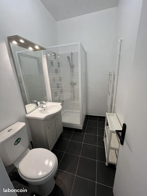 Appartement à louer, 19m², Villeurbanne