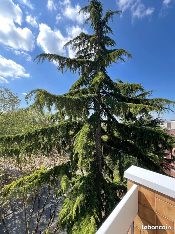 Appartement à vendre, 85m², Créteil
