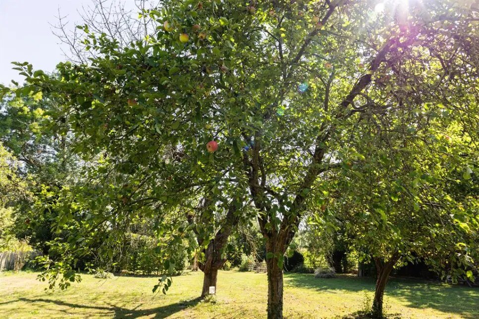 Maison à vendre, 250m², Surgères
