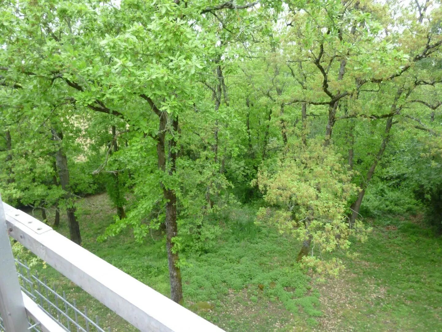 Appartement à louer, 48m², Labastide-Beauvoir