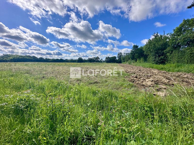 Maison à vendre, 151m², Ambérieux-en-Dombes
