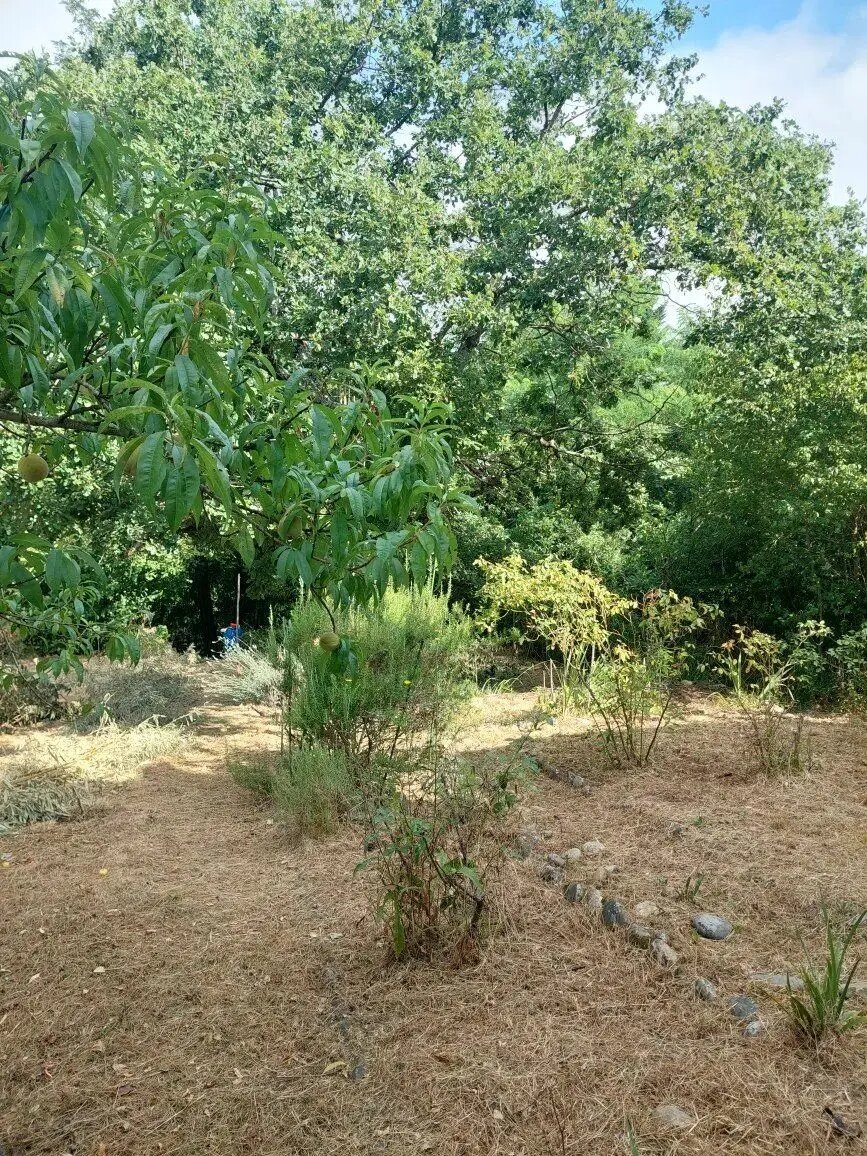 Maison à vendre, 68m², Montesquieu-Volvestre