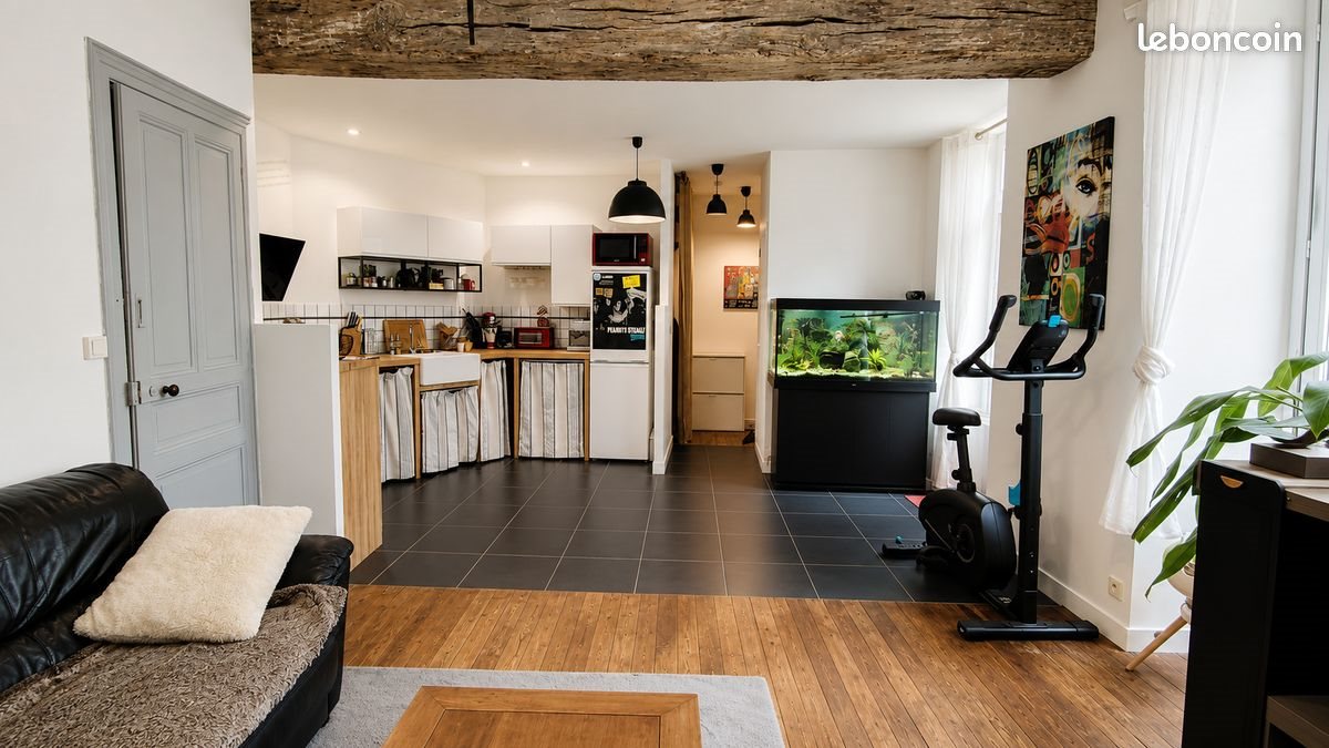 Appartement à vendre, 50m², Angers