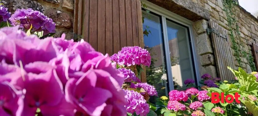Maison à vendre, 223m², Caudan