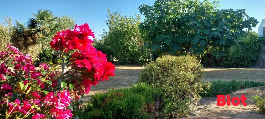 Maison à vendre, 172m², Ploemeur