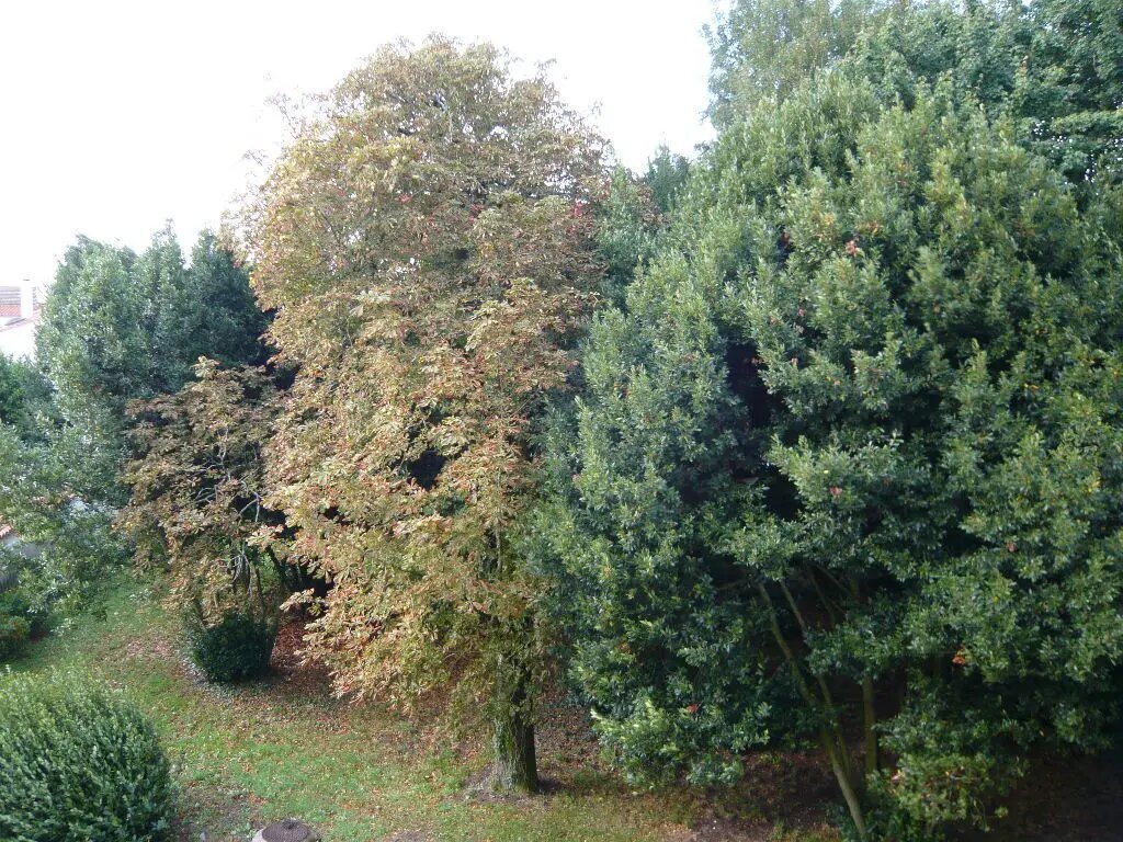 Appartement à louer, 71m², La Rochelle