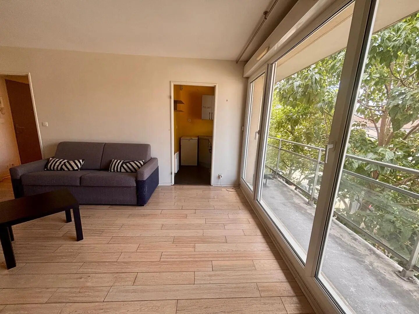 Appartement à louer, 29m², Maisons-Alfort