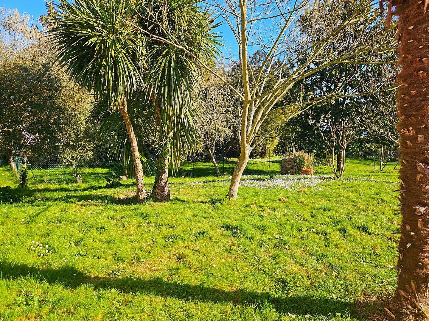 Maison à vendre, 137m², Saint-Sever