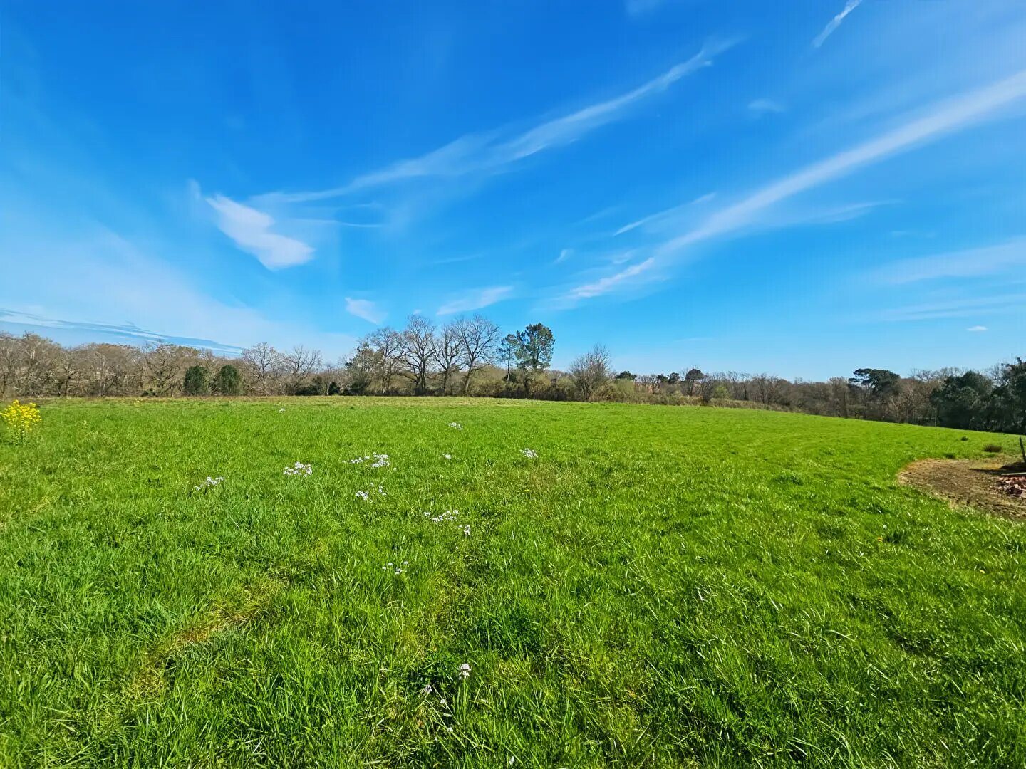 Maison à vendre, 100m², Saint-Sever