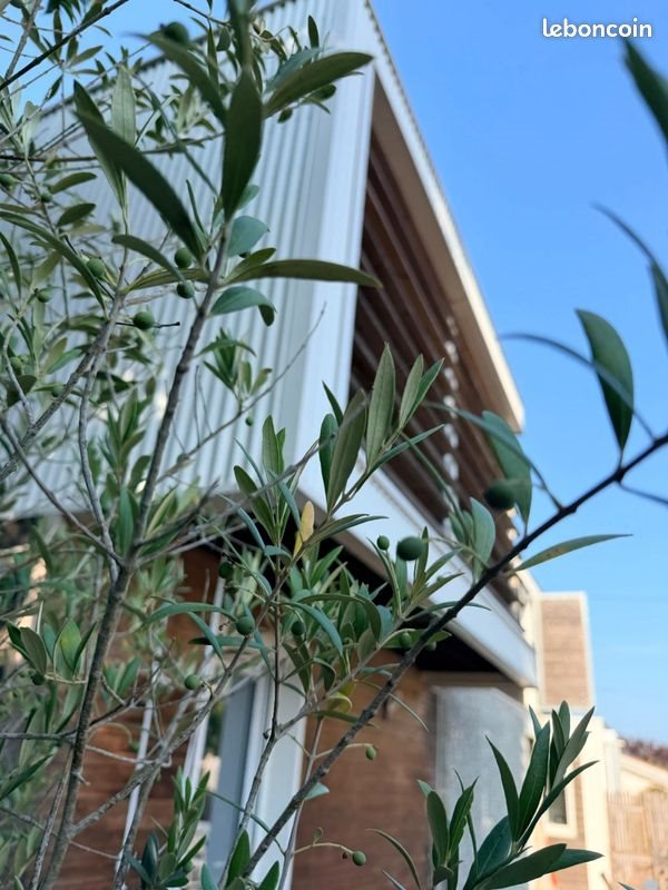 Maison à vendre, 126m², Le Teich