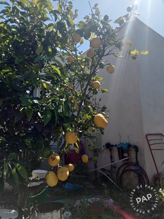 Maison à vendre, 76m², Calvi
