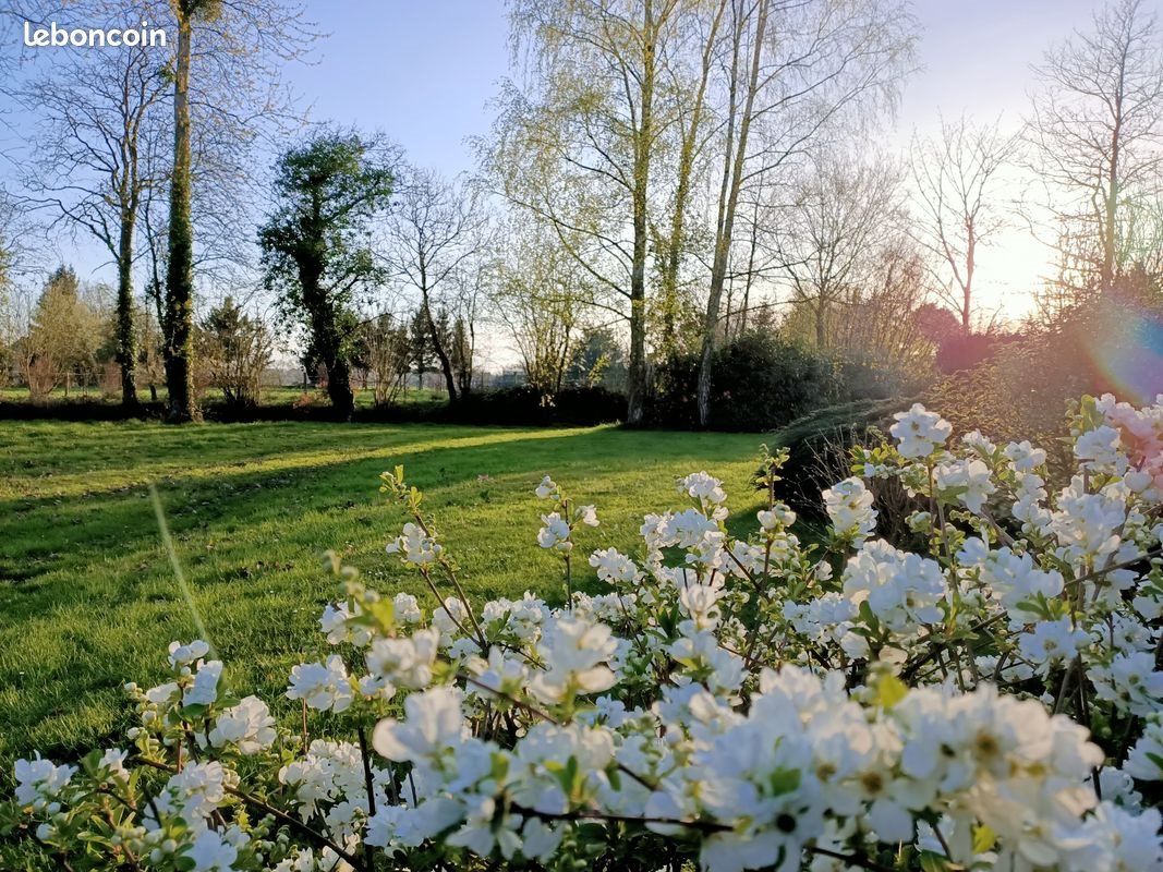 Maison à vendre, 154m², Plédran