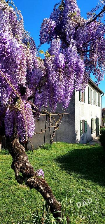 Maison à vendre, 206m², Pampelonne