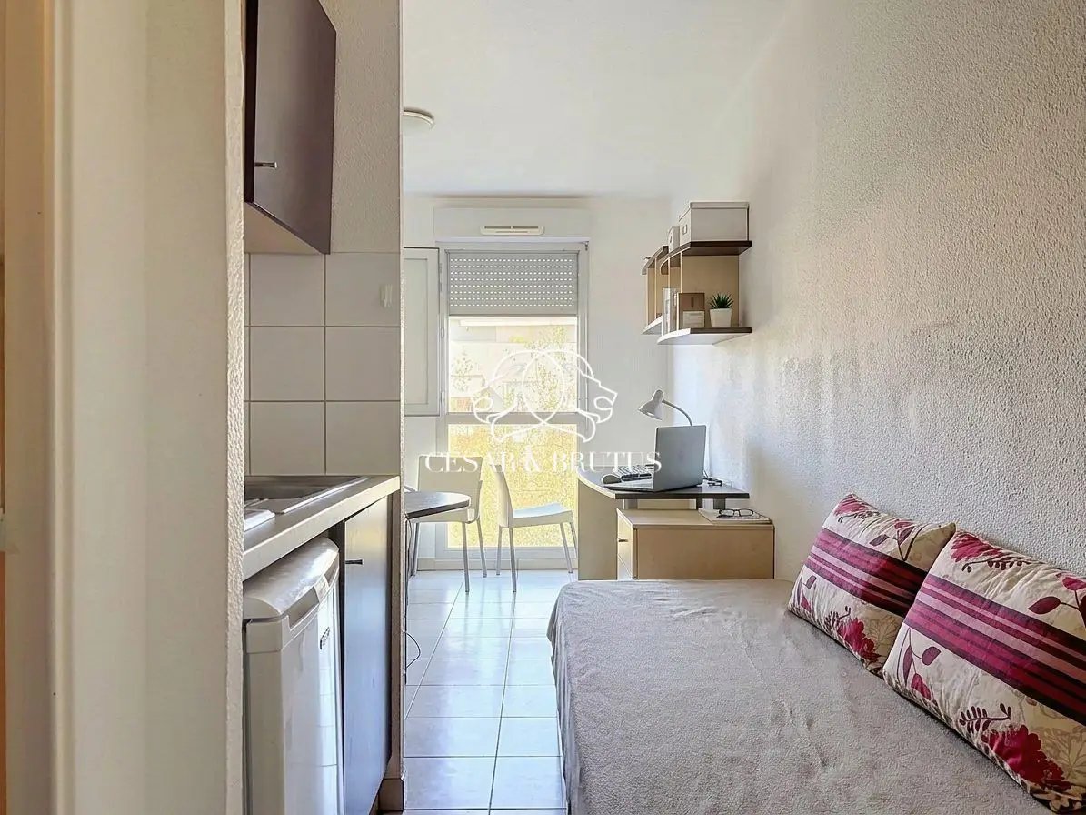Appartement à vendre, 18m², Villeurbanne