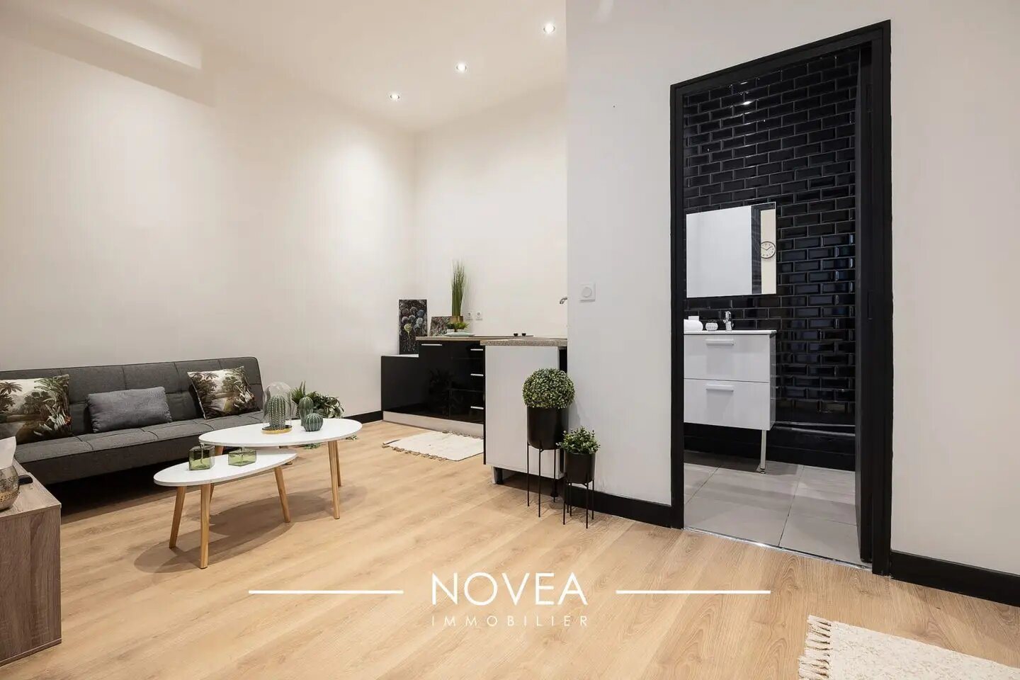 Appartement à vendre, 42m², Villeurbanne