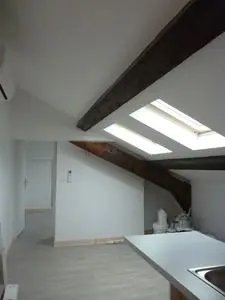 Appartement à louer, 19m², Oullins