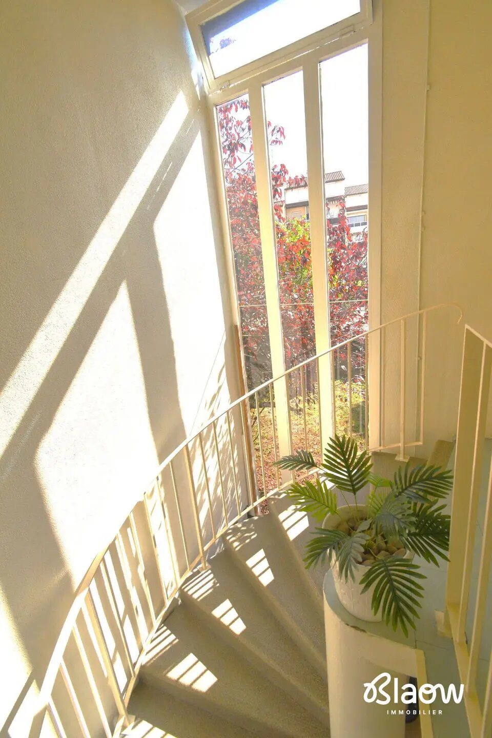 Appartement à vendre, 100m², Meyzieu