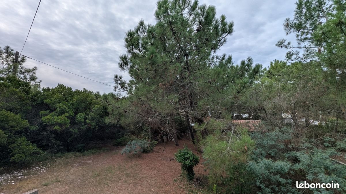 Maison à vendre, 53m², Lège-Cap-Ferret