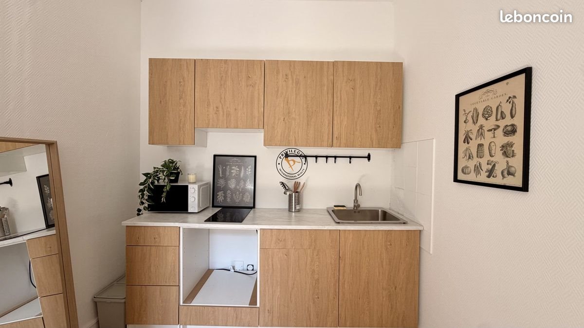 Appartement à louer, 30m², Nantes