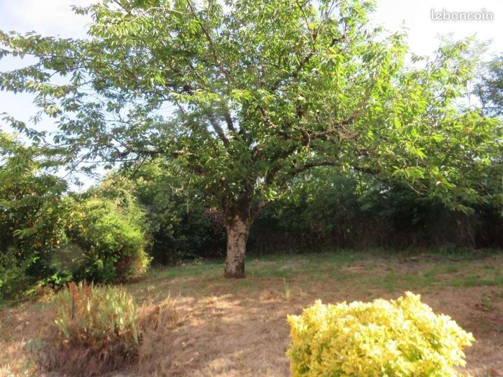Maison à vendre, 70m², Saint-Etienne-de-Mer-Morte