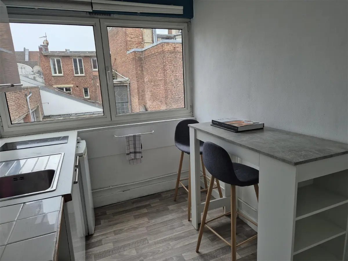 Appartement à louer, 38m², Lille