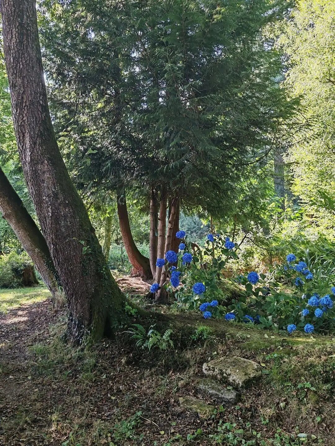 Maison à vendre, 145m², Camors