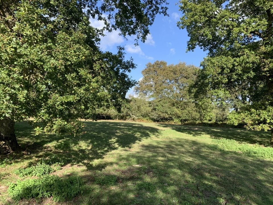 Maison à vendre, 140m², Cailhau