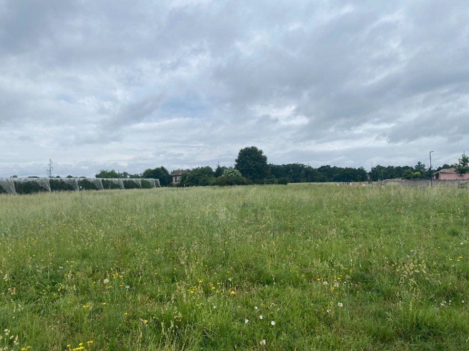 Maison à vendre, 100m², Nègrepelisse