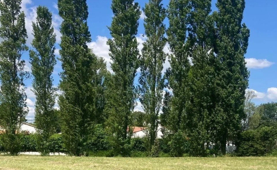 Maison à vendre, 80m², Saint-Gilles-Croix-de-Vie