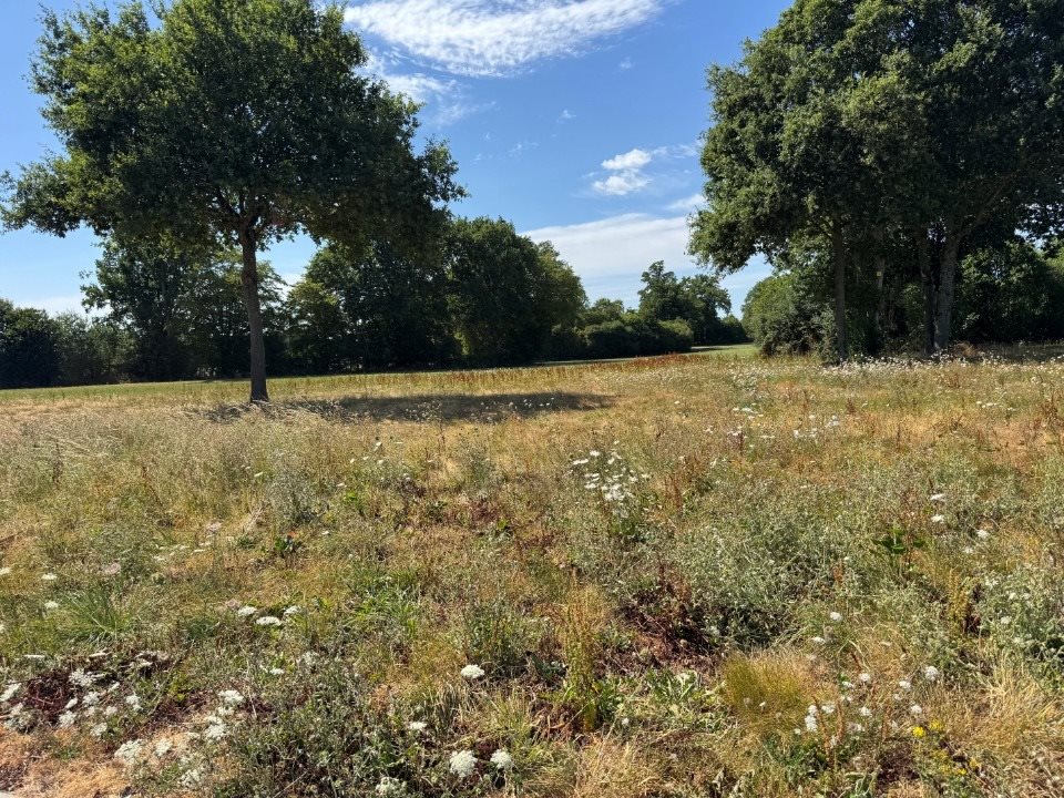 Maison à vendre, 70m², Laubrières