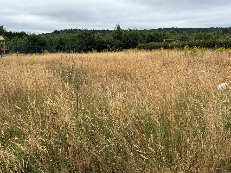 Maison à vendre, 120m², Bonchamp-lès-Laval