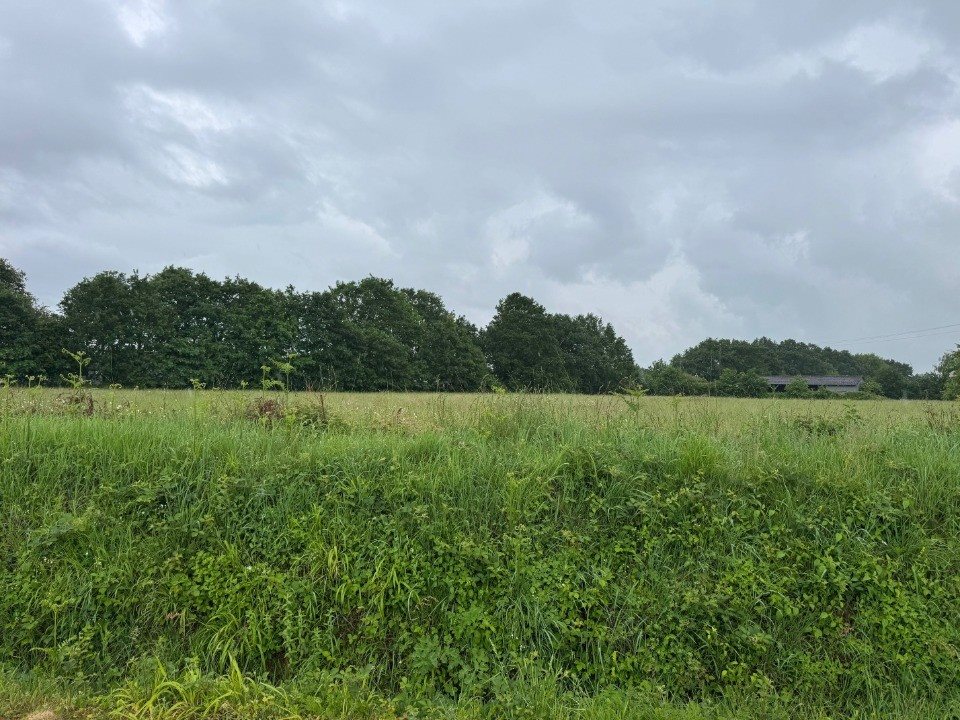 Maison à vendre, 160m², Bonchamp-lès-Laval