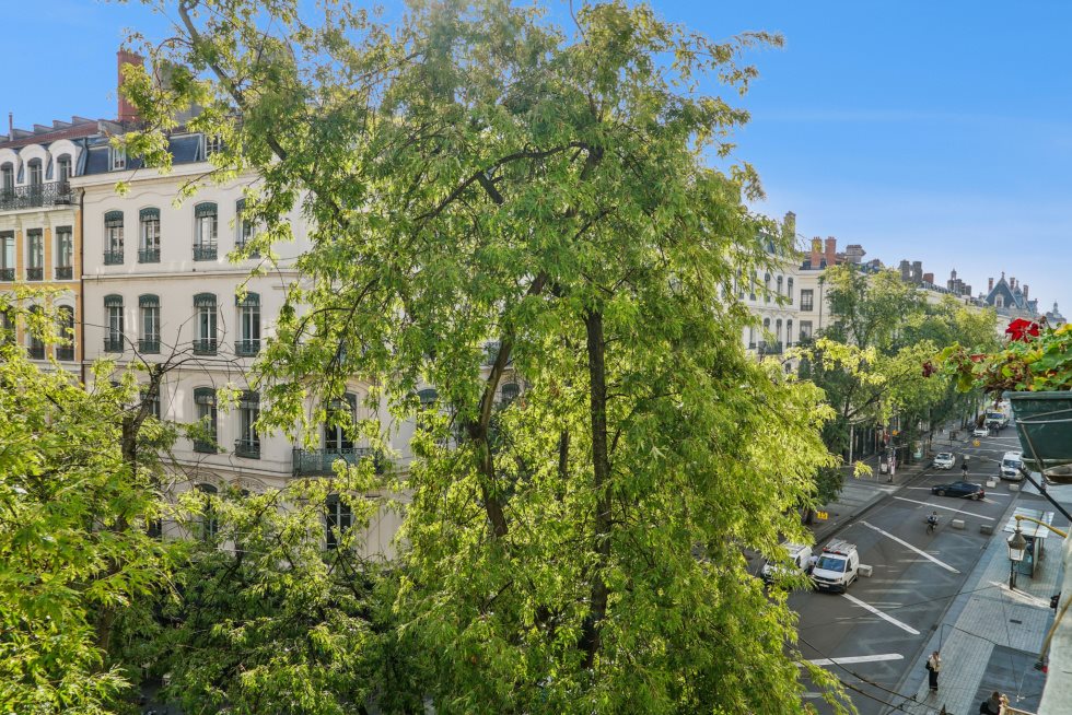 Appartement à vendre, 154m², Lyon 1er