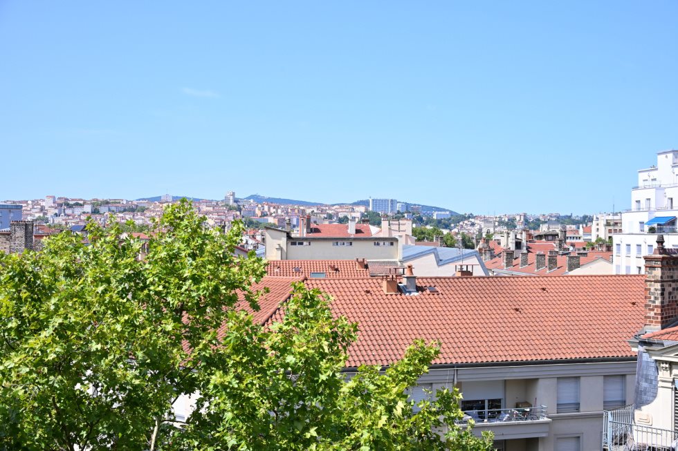 Appartement à vendre, 110m², Lyon 7ème