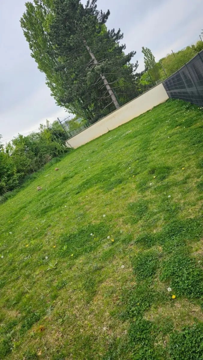 Maison à vendre, 120m², Champs-sur-Marne