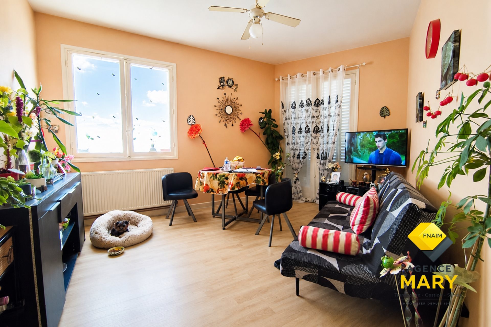 Appartement à vendre, 42m², Vichy
