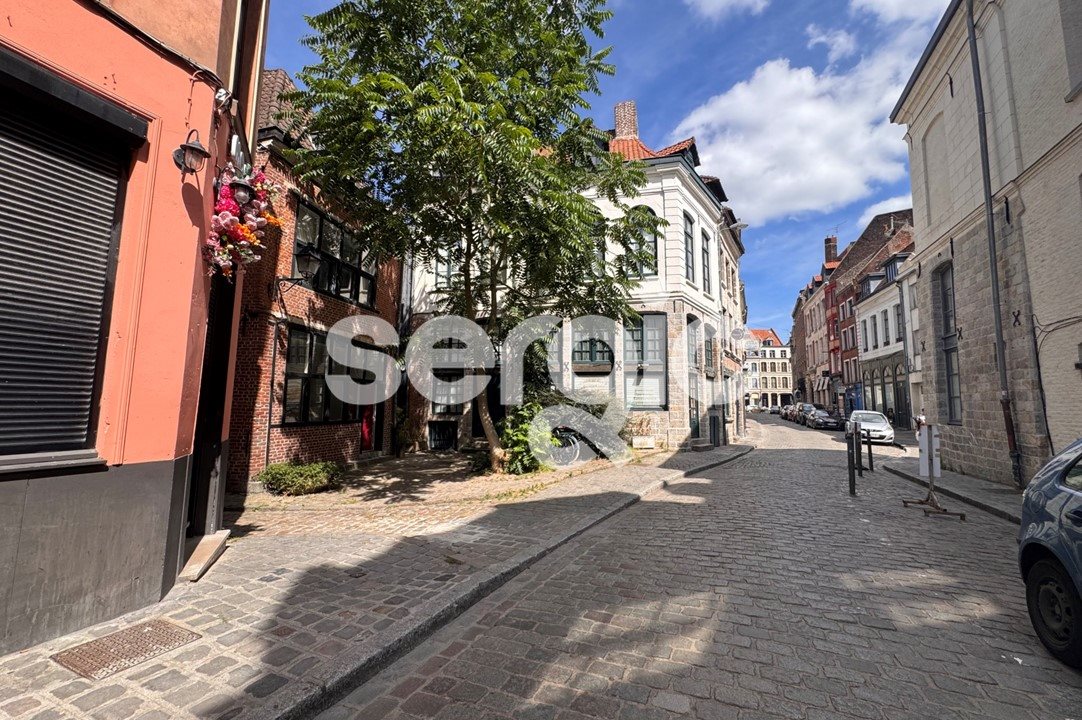 Appartement à vendre, 20m², Lille