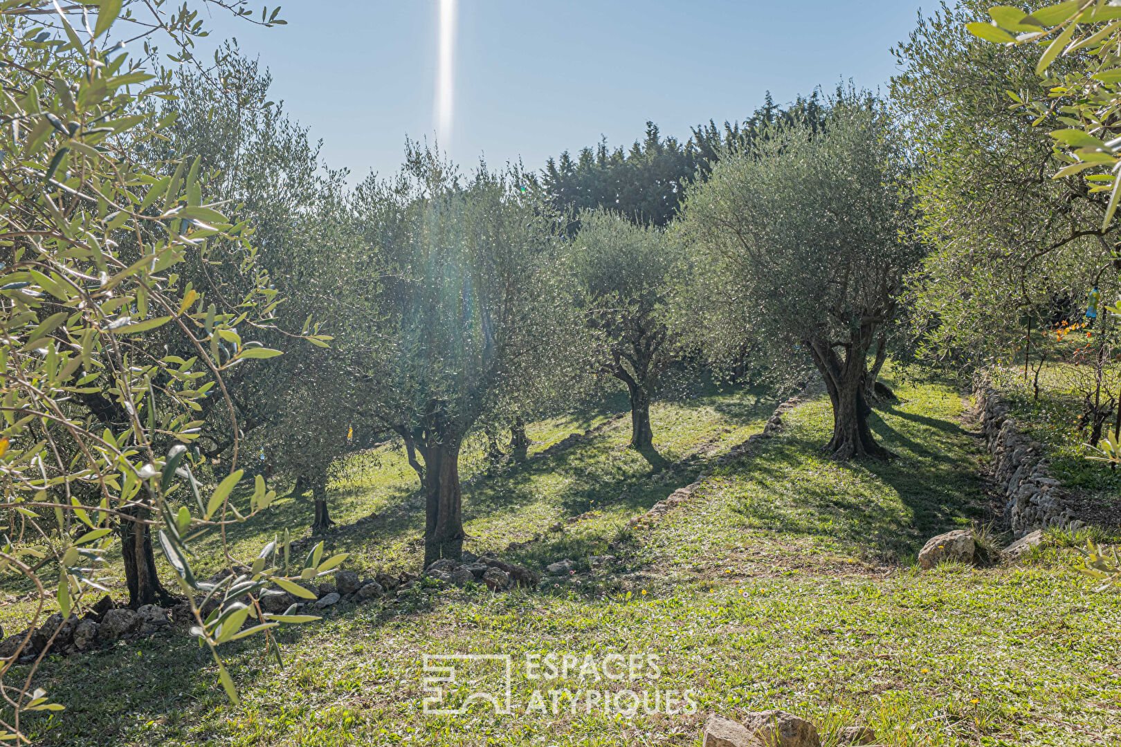 Maison à vendre, 265m², Cabris