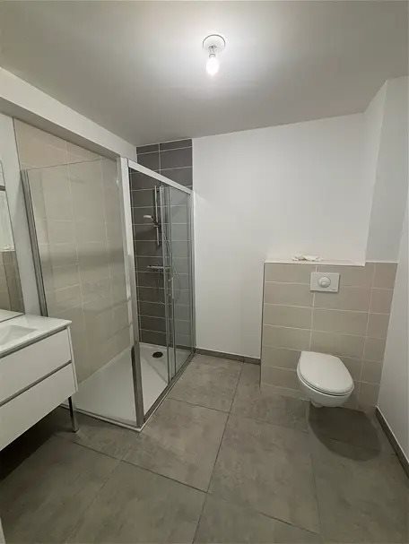 Appartement à louer, 50m², Saint-Etienne